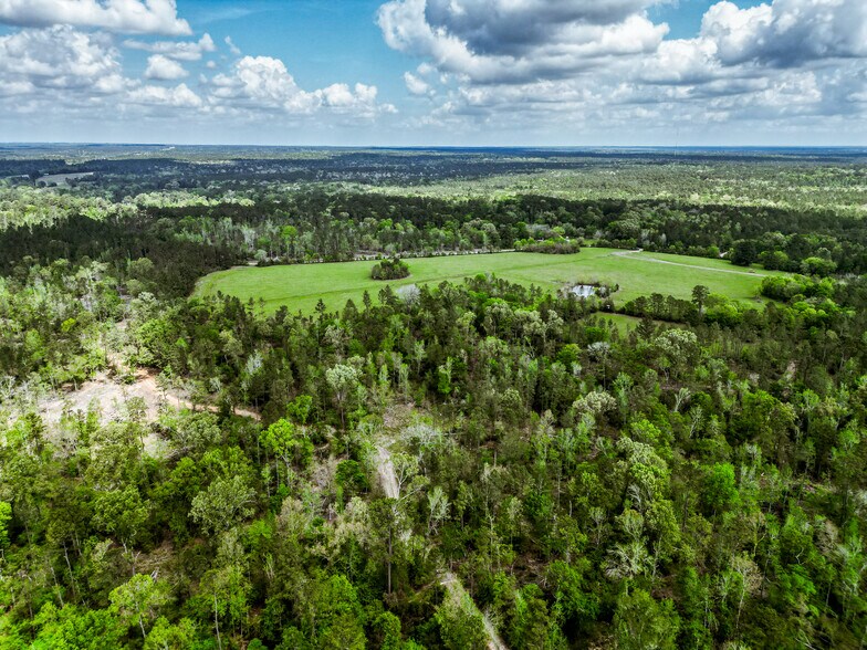 More Photos Of TBD Vick Spring Rd, New Waverly Land For Sale