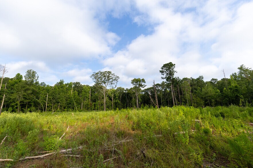 More Photos Of 9712 US Highway 31, Hope Hull Land For Sale