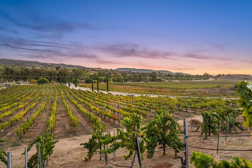 More Photos Of 39750 De Portola Rd, Temecula Specialty For Sale