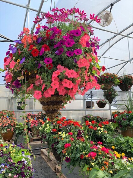 More Photos Of 1164 County Road 113, Carbondale Specialty For Sale