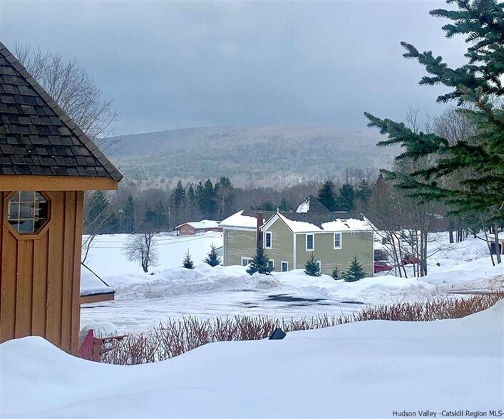 Primary Photo Of 218 NY-296, Windham Hotel For Sale