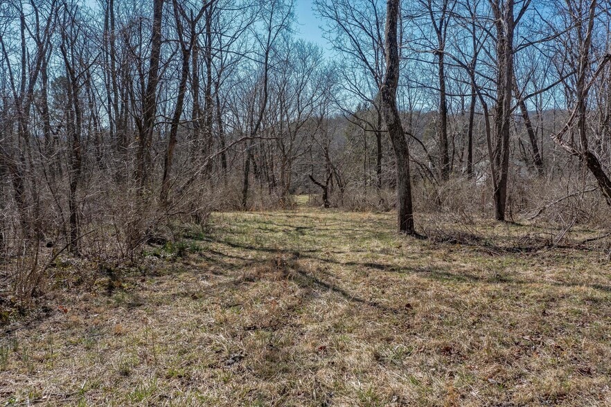 More Photos Of 815 Emma Rd, Asheville Land For Sale