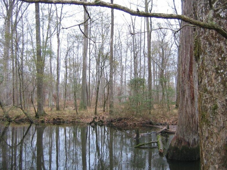 More Photos Of 7471 Hwy 155, Saline Land For Sale