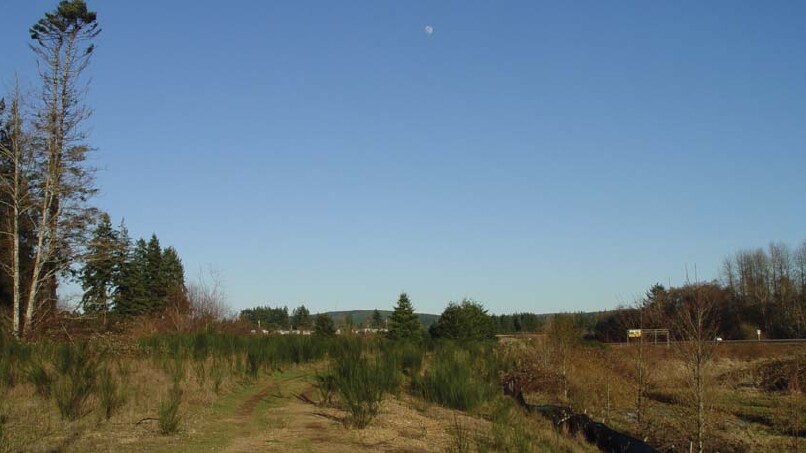 Primary Photo Of 35 Marilyn Ln, Elma Land For Sale