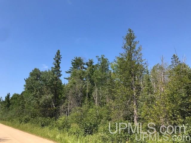 More Photos Of TBD Rock River Rd, Deerton Land For Sale