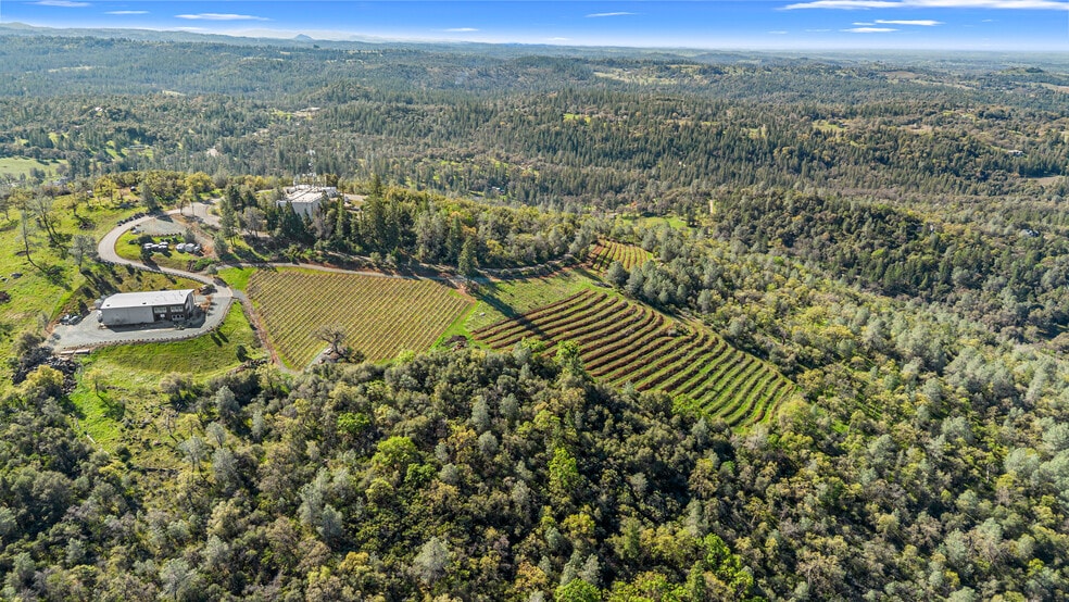 More Photos Of 6781 Tower, Somerset Winery Vineyard For Sale