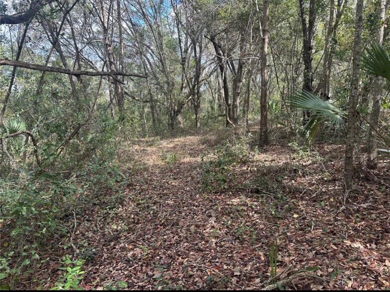 More Photos Of SOUTH LAKE HIAWATHA Dr, Lady Lake Land For Sale