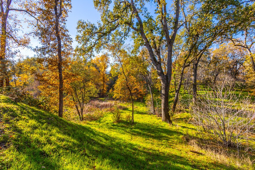 More Photos Of 6433 Mother Lode Dr, Placerville Office For Sale