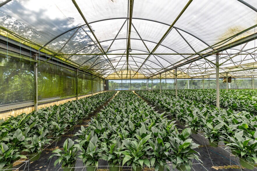 More Photos Of 18021 E Apshawa Rd, Minneola Land For Sale