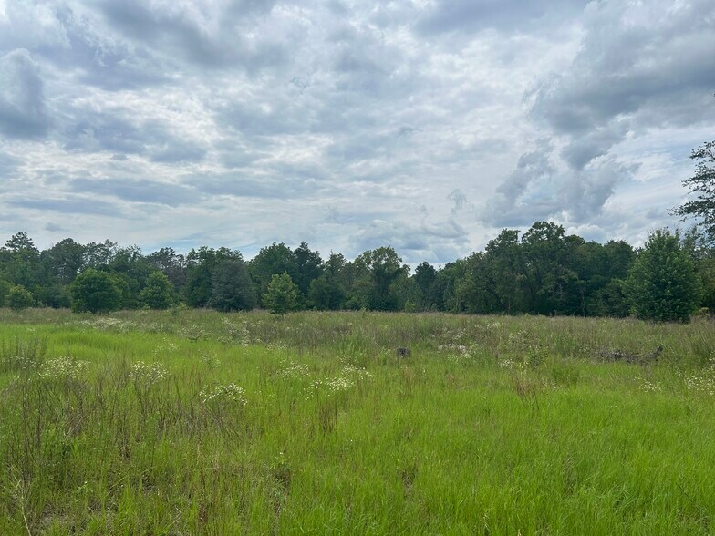 More Photos Of 5078 Discovery Dr, Middleburg Land For Sale