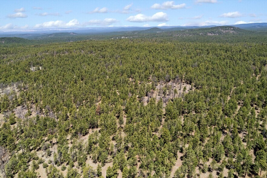 More Photos Of 00 Ponderosa Dr, Flagstaff Land For Sale