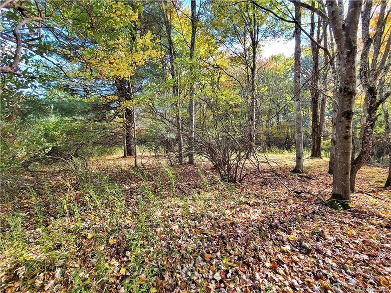 More Photos Of Kaufman Rd, Monticello Land For Sale
