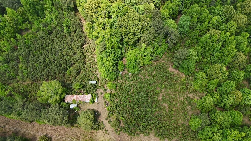 More Photos Of 268 Ogletree Rd, Greenville Land For Sale