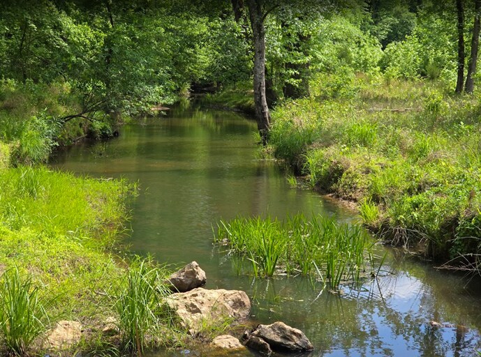 More Photos Of 611 Old E C Womack Rd, Sanford Land For Sale