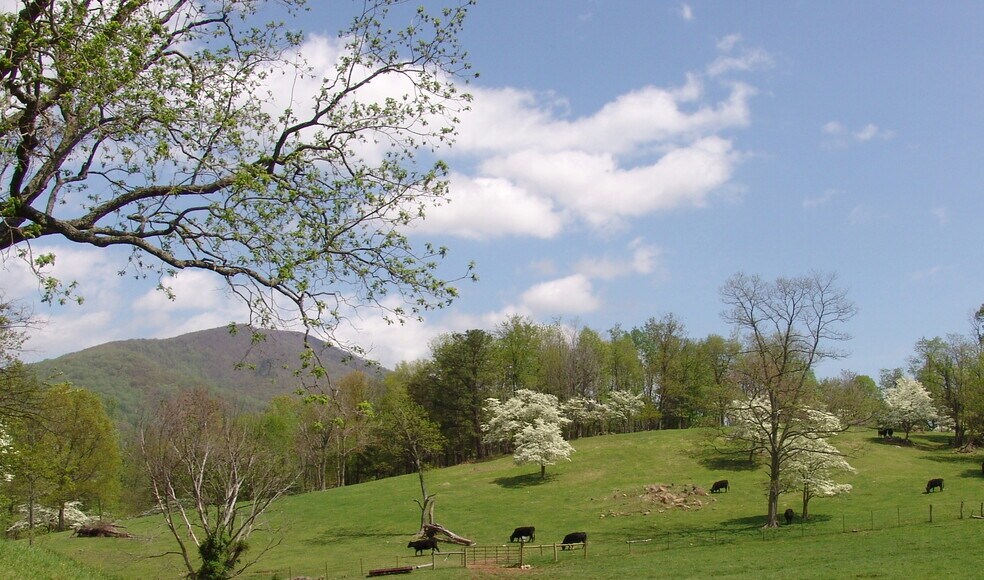 More Photos Of Near Little Washington Virginia, Washington Land For Sale