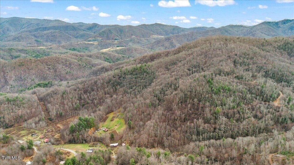 More Photos Of TBD Stockton Rd rd, Flag Pond Land For Sale