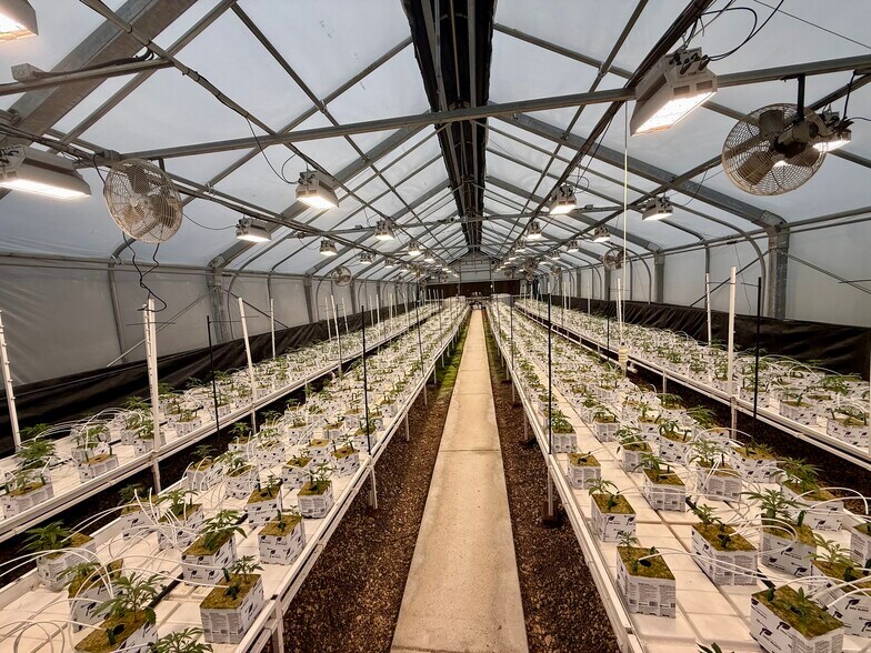 Primary Photo Of 1000 FM624, Orange Grove Industrial For Sale