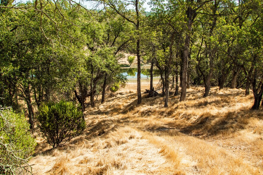 More Photos Of 4471 Buena Vista Rd, Ione Land For Sale