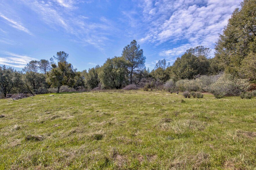 More Photos Of 18800 Charleston Rd, Volcano Land For Sale