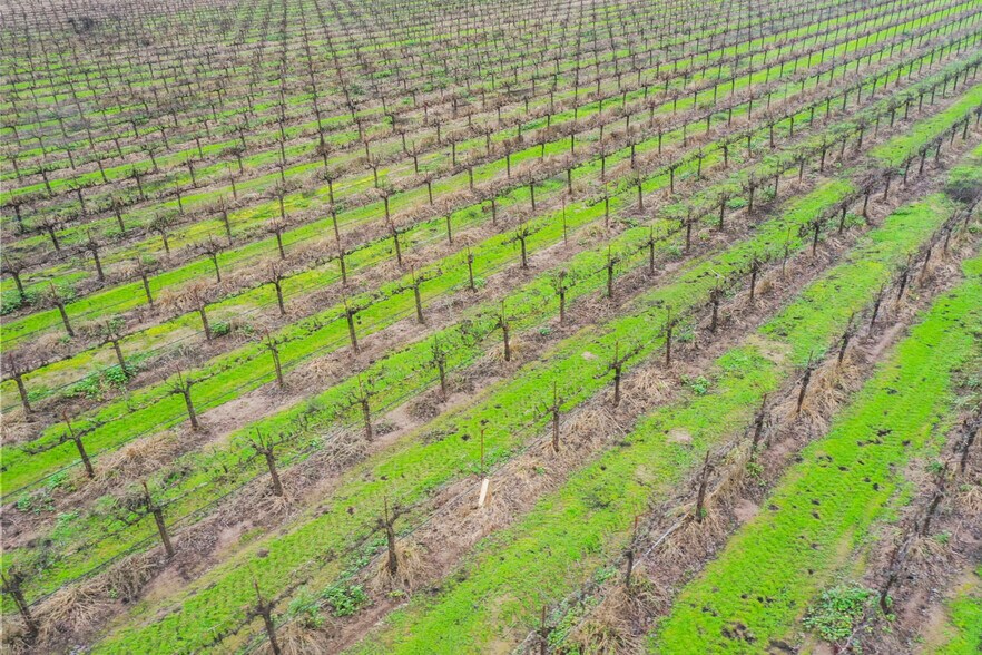 More Photos Of 20325 N Ray Rd, Lodi Land For Sale