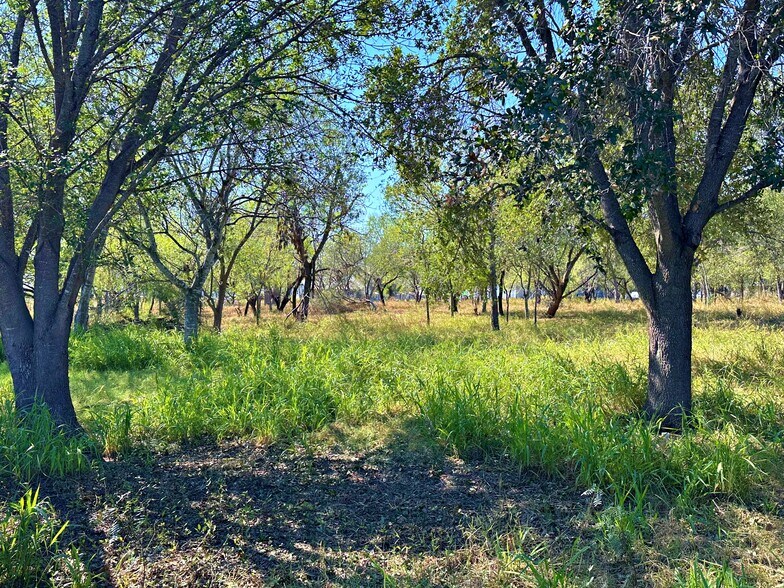 More Photos Of 215 E College St, Pleasanton Land For Sale