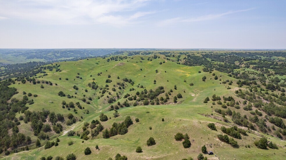 More Photos Of 21627 Hardingrove Rd, Milesville Land For Sale