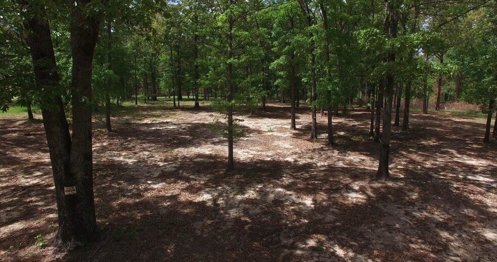 More Photos Of 775 Bembry Ave, Unadilla Theater Concert Hall For Sale