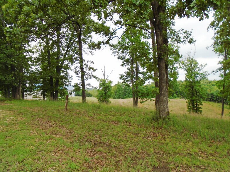 More Photos Of 000 Lighthouse Cay, Grand Rivers Land For Sale