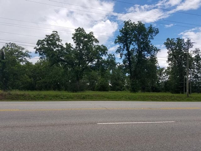 Primary Photo Of 11812 US Highway 319 N, Thomasville Land For Sale