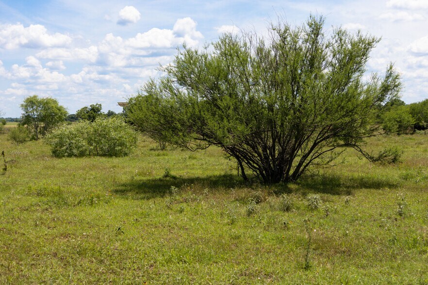 More Photos Of TBD Hwy 71, Smithville Land For Sale