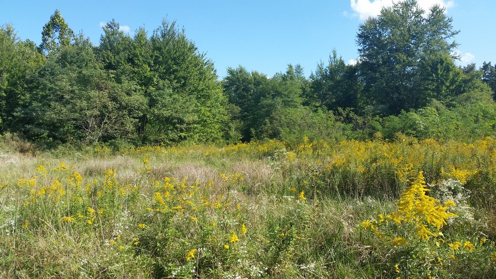 More Photos Of 3354 State Route 132, Amelia Land For Sale