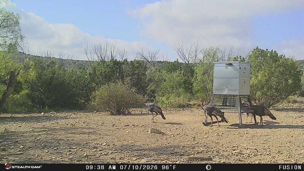 More Photos Of 0000 Clegg Rd, Ozona Land For Sale