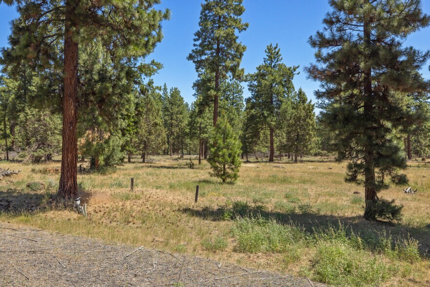 More Photos Of 0 Blue Wing Street, Keno Land For Sale