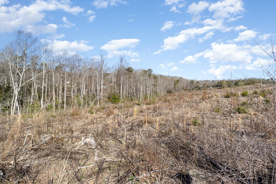 More Photos Of 157 Zion School Rd, Easley Land For Sale