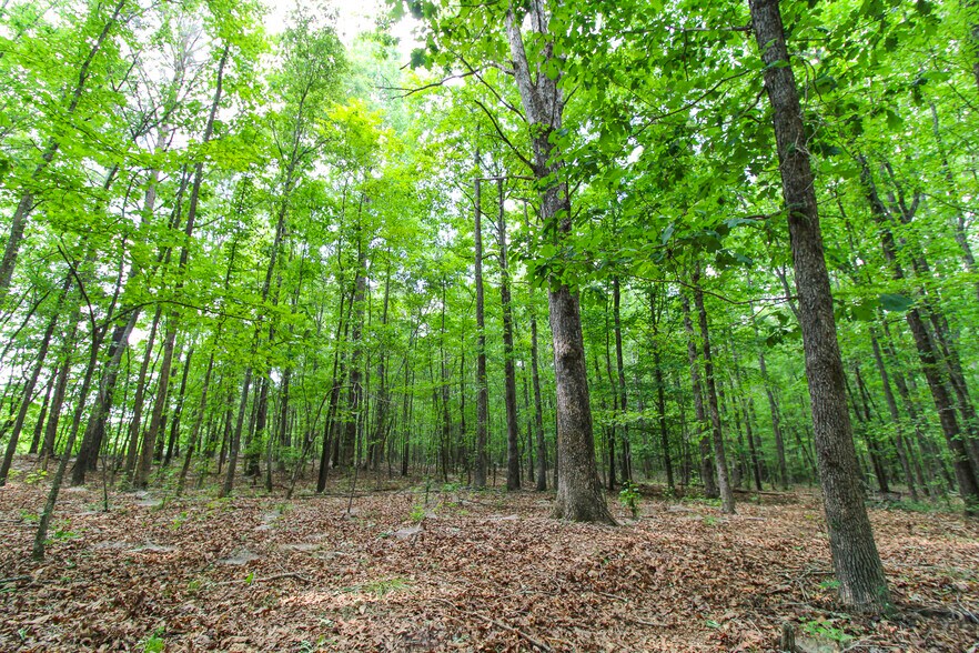 More Photos Of Powell Rd, Statham Land For Sale