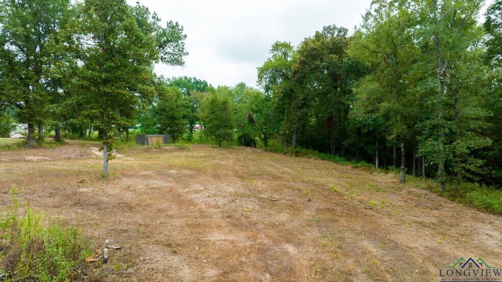 More Photos Of TBD US 259, Longview Land For Sale