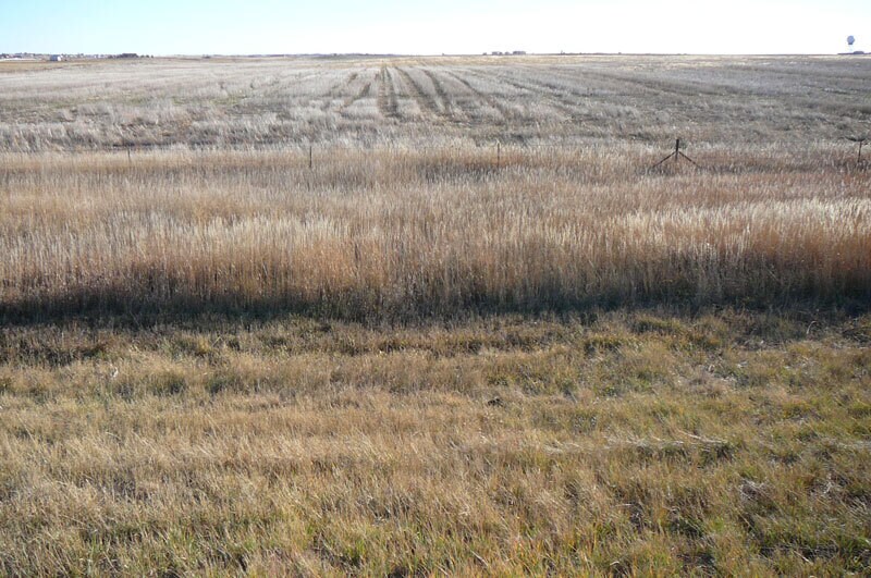 More Photos Of SE Corner of I-70 and Manila Road, Bennett Land For Sale