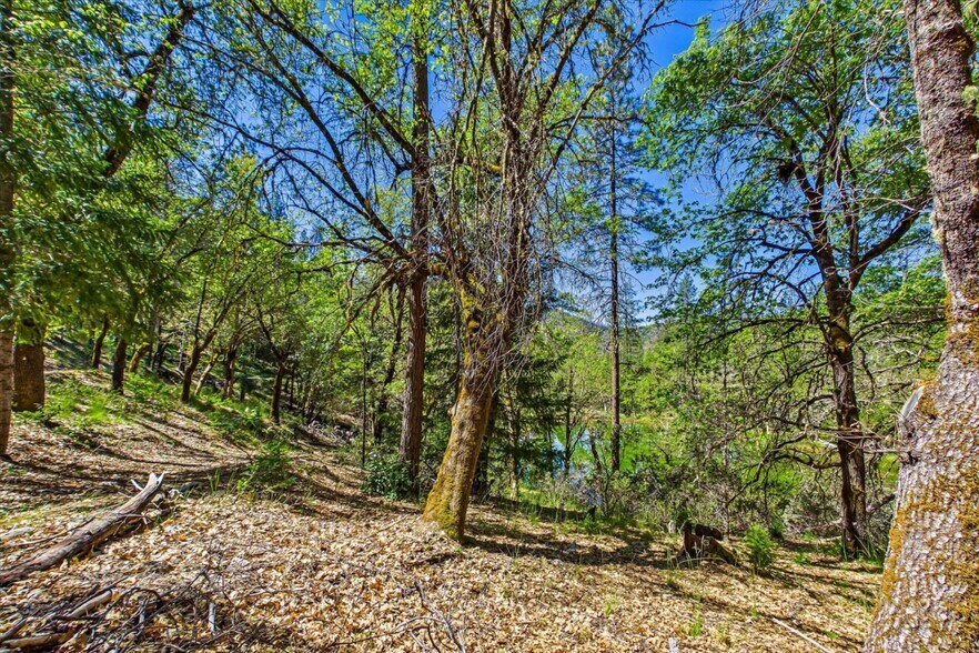 More Photos Of 6691 Reading Creek Rd, Douglas City Land For Sale