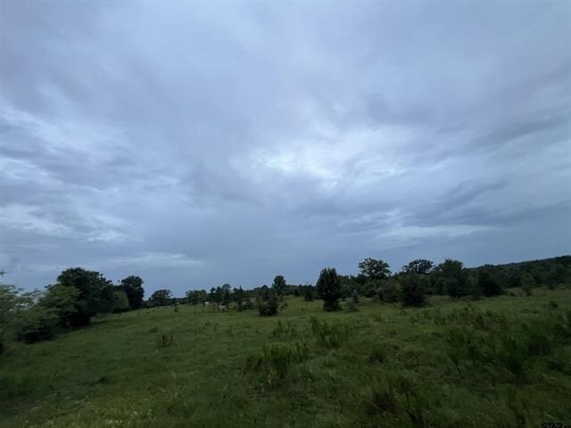 More Photos Of 12251 FM 16 E, Winona Land For Sale