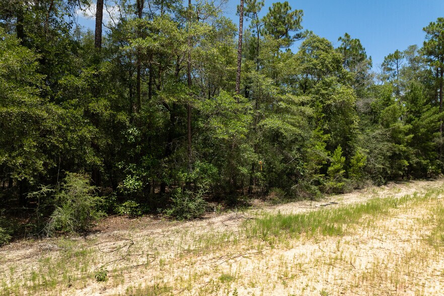 More Photos Of , Defuniak Springs Land For Sale