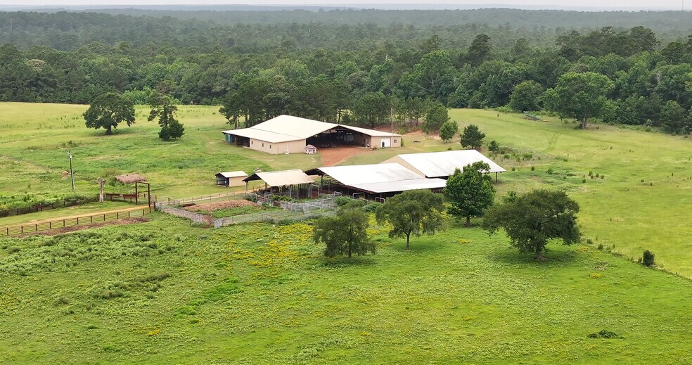 More Photos Of 44 Bucking Bull Rd, New Waverly Land For Sale
