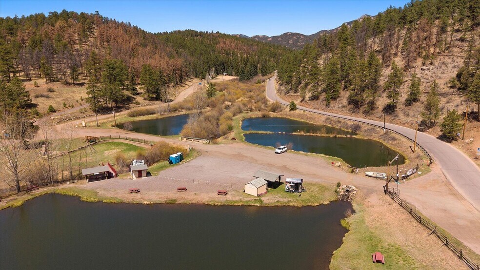 More Photos Of , Pine Land For Sale
