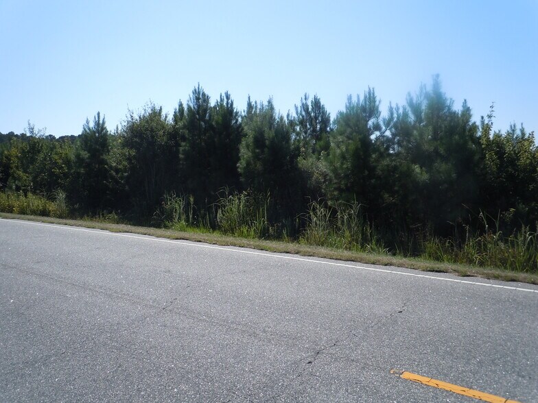 Primary Photo Of Near 10547 Andrew Jackson Highway SW Rd, Fair Bluff Land For Sale