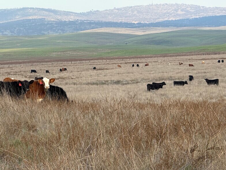 More Photos Of Dunton Rd @ CA Hwy 4, Oakdale Land For Sale