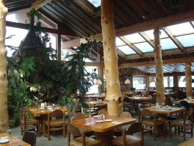 More Photos Of 24 Big Springs Dr, Nederland Restaurant For Lease