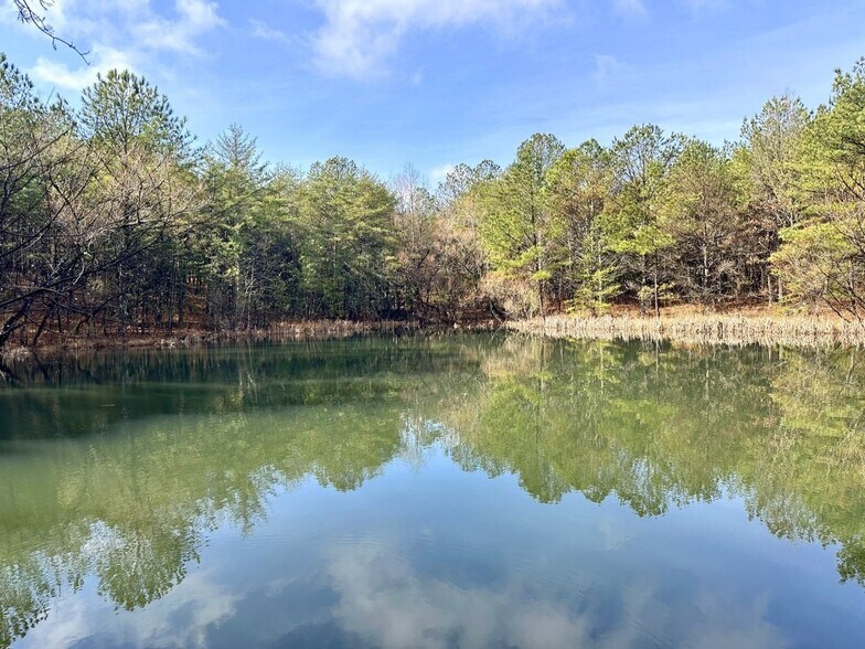 More Photos Of 576 Kelly Creek Rd, Whitwell Land For Sale