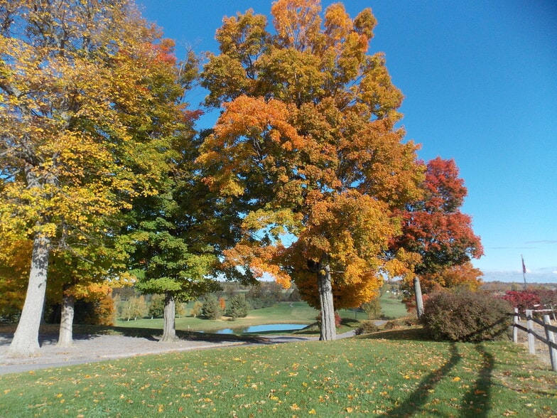 More Photos Of 37067 Nys Route 12, Clayton Hotel For Sale