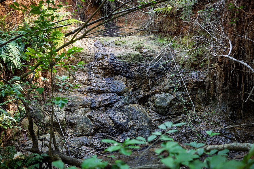 More Photos Of 600 Roselake Dr, Nacogdoches Land For Sale