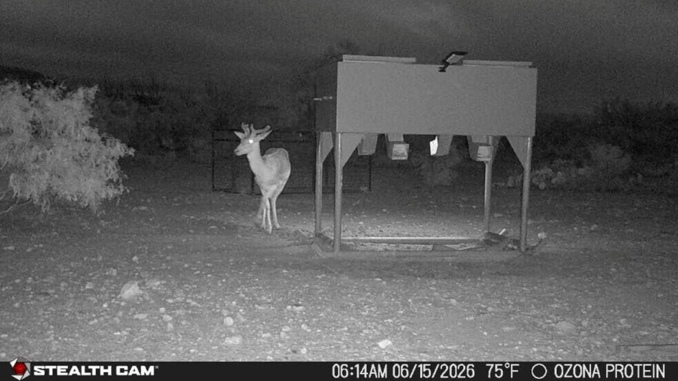 More Photos Of 0000 Clegg Rd, Ozona Land For Sale