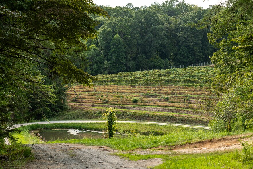 More Photos Of 9975 Ball Ground Hwy, Ball Ground General Retail For Sale